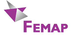 FEMAP